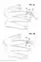 Fig. 04 - DELINEATING NAIL FOR NAIL TREATMENT APPLICATIONS AND METHOD THEREFOR