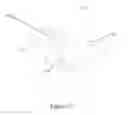 Fig. 48 - Removable cartridge cleaner