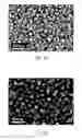Fig. 06 - Silicon substrate having nanostructures and method for producing the same and application thereof