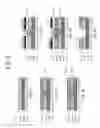 Fig. 07 - Method of fabricating dual damascene structures using a multilevel multiple exposure patterning scheme