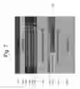 Fig. 08 - Method of fabricating dual damascene structures using a multilevel multiple exposure patterning scheme