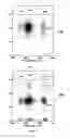 Fig. 06 - INJECTION-FOAMABLE STYRENIC MONOMER-DIOLEFIN COPOLYMER, A METHOD FOR THE PREPARATION THEREOF AND USE THEREOF