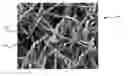 Fig. 01 - Devices and Methods for Tissue Engineering