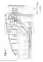 Fig. 06 - Sheet feeding device and image forming apparatus