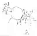 Fig. 03 - Adjustable projectile target