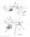 Fig. 09 - Mobility and Accessibility Device and Lift