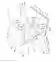 Fig. 06 - Radio frequency directional coupler device and related methods