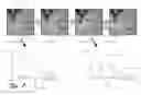 Fig. 08 - Adaptive sampling region for a region editing tool