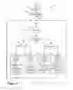 Fig. 09 - Heterogeneous video conferencing