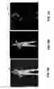 Fig. 06 - Motion capture with low input data constraints
