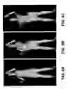 Fig. 07 - Motion capture with low input data constraints