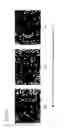 Fig. 09 - Distance measuring device and method for manufacturing same