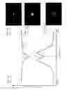 Fig. 08 - Imaging device and automatic focus adjustment method