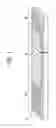 Fig. 02 - MAGNETIC RECORDING MEDIUM AND MANUFACTURING METHOD THEREOF