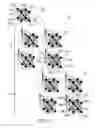 Fig. 04 - Hierarchical network topology