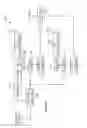 Fig. 09 - Method for reconstructing the characteristics of transmitted CDMA waveforms