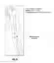 Fig. 08 - Transmission of medical image data