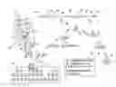Fig. 01 - Plasma processes for producing silanes and derivatives thereof
