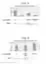 Fig. 07 - Stress tolerant 