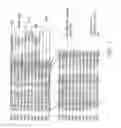 Fig. 02 - ANTIBODIES SPECIFIC FOR SCLEROSTIN AND METHODS FOR INCREASING BONE MINERALIZATION
