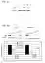 Fig. 06 - Molecular Determinants Associated With Prostate Cancer And Methods Of Use Thereof