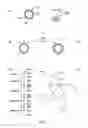 Fig. 02 - DNA vaccines, uses for unprocessed rolling circle amplification product and methods for making the same