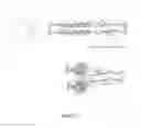 Fig. 03 - STIMULATABLE ASYMMETRICAL POLYMERSOME