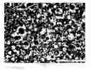 Fig. 02 - Method for forming a lubricating film