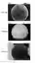 Fig. 07 - POROUS STRUCTURES FOR ENERGY STORAGE DEVICES
