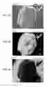 Fig. 08 - POROUS STRUCTURES FOR ENERGY STORAGE DEVICES