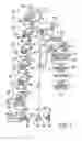 Fig. 02 - Tunable gloss toners