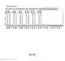 Fig. 07 - DNA template tailoring using PNA and modified nucleotides