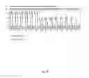Fig. 08 - DNA template tailoring using PNA and modified nucleotides