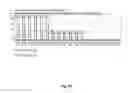 Fig. 09 - DNA template tailoring using PNA and modified nucleotides