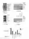 Fig. 15 - Methods and compositions for detecting receptor-ligand interactions in single cells