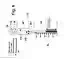 Fig. 06 - Cell assay kit and method
