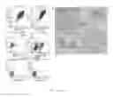 Fig. 02 - Human bone marrow microenvironments and uses thereof