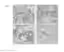 Fig. 06 - Human bone marrow microenvironments and uses thereof