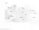 Fig. 07 - Human bone marrow microenvironments and uses thereof