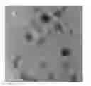 Fig. 01 - WATER SOLUBLE PH RESPONSIVE FLUORESCENT NANOPARTICLES