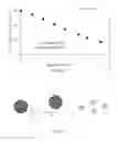 Fig. 06 - WATER SOLUBLE PH RESPONSIVE FLUORESCENT NANOPARTICLES