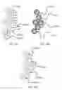 Fig. 14 - WATER SOLUBLE PH RESPONSIVE FLUORESCENT NANOPARTICLES
