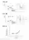 Fig. 06 - MANUFACTURING METHOD OF SEMICONDUCTOR DEVICE
