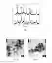 Fig. 02 - Nanometer powder catalyst and its preparation method