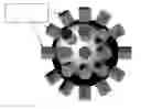 Fig. 01 - Polarized fluorescent nanospheres