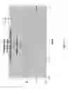 Fig. 08 - Fast drying and fast draining rinse aid comprising a quaternary mixture of non-ionic surfactants