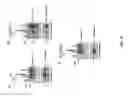 Fig. 09 - MUC1, caspase-8, and DED-containing proteins
