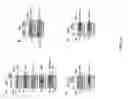Fig. 14 - MUC1, caspase-8, and DED-containing proteins