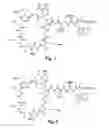 Fig. 02 - High purity lipopeptides