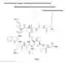 Fig. 01 - Composition for long-acting peptide analogs